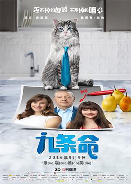 在线观看的黄色