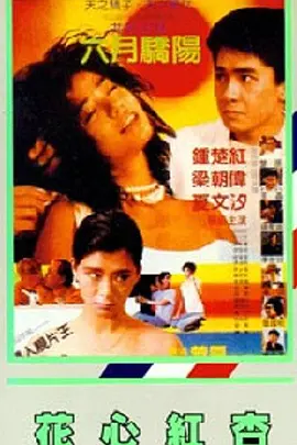 国产入口在线观看
