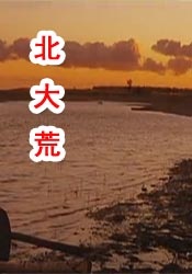 日韩性网站