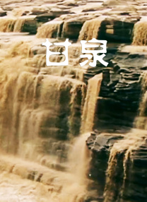 婷婷视频网