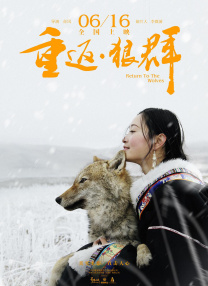 视频你懂